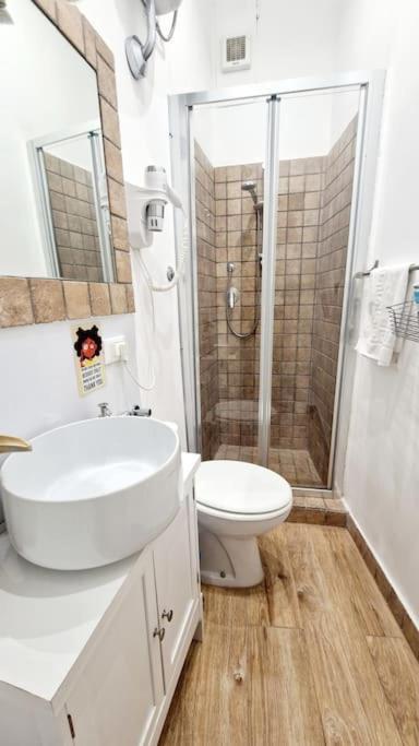 Small & Cozy Near Piazza Navona Apartment